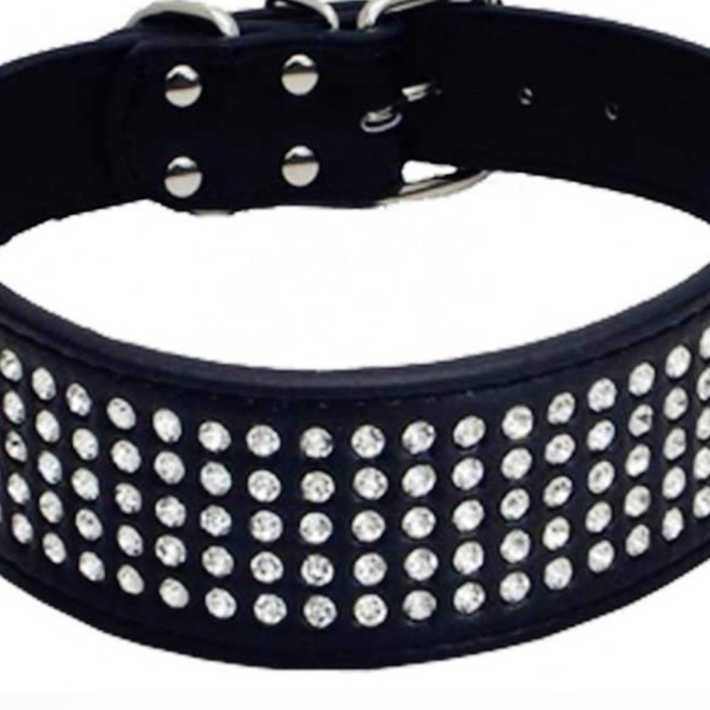 Give your Dog some BLING!
